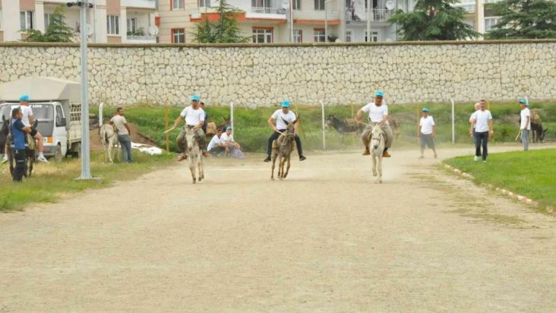 Eşekler birincilik için yarıştı