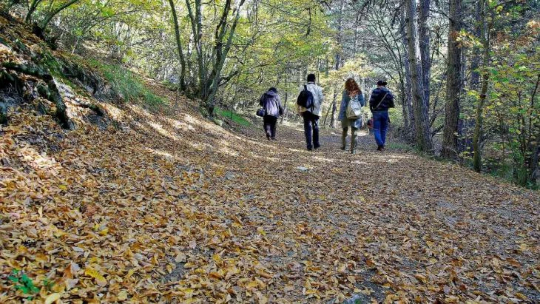 Eskişehir'deki ormanlık alanlara girişler yasaklandı