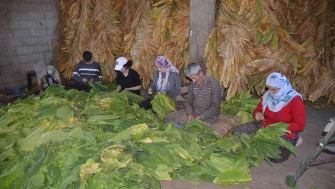 Fedakar çift tütünden kazandığı parayla çocuklarını okutuyor