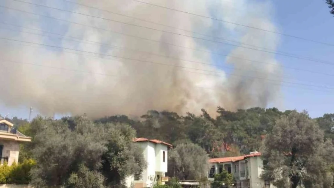 Fethiye'de orman yangını