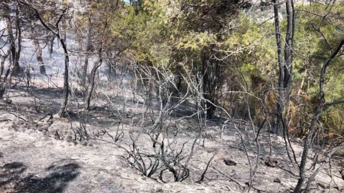 Fethiye'deki yangın kısmen kontrol altına alındı