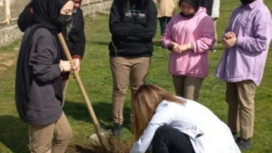 Fidan dikme ve bağış şartıyla uzlaştılar