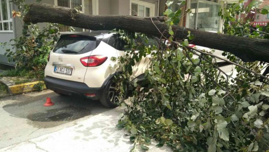 Fırtınanın devirdiği ağaç, park halindeki otomobilin üzerine düştü