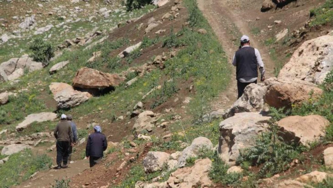 Gabar Dağı'nda iki gündür kayıp olan vatandaşı bulma çalışmaları devam ediyor