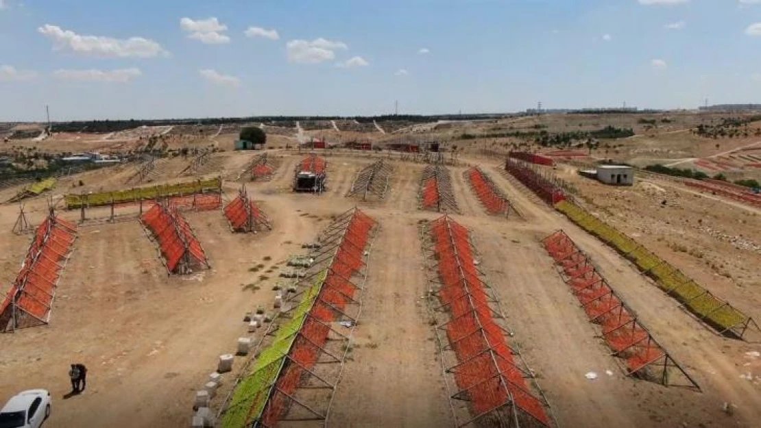 Gaziantep'te sezonun ilk kurutmalıkları güneşe bırakıldı