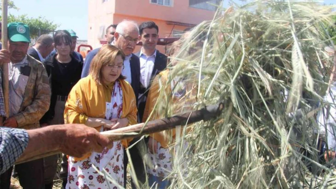 Geleneksel yöntemlerle yapılan firik ütme başladı