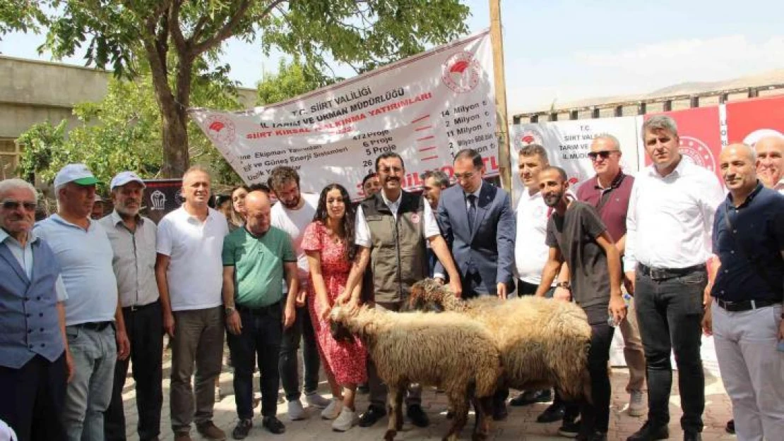 Genç çiftçiler devletten aldıkları destekle küçükbaş hayvan sahibi oldu