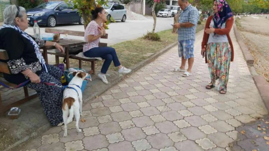 Genç kız köpeğin saldırısına uğradı