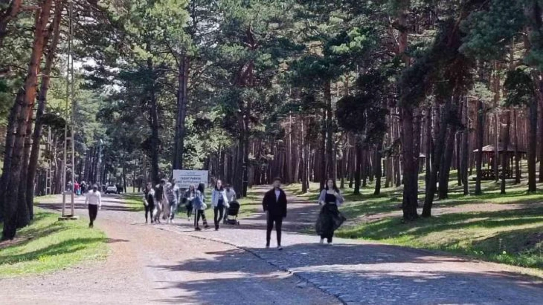 Gençler orman temizledi