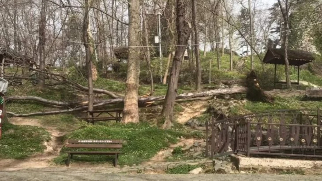 Giresun'da şiddetli rüzgar çatıları uçurdu, yangınlara neden oldu