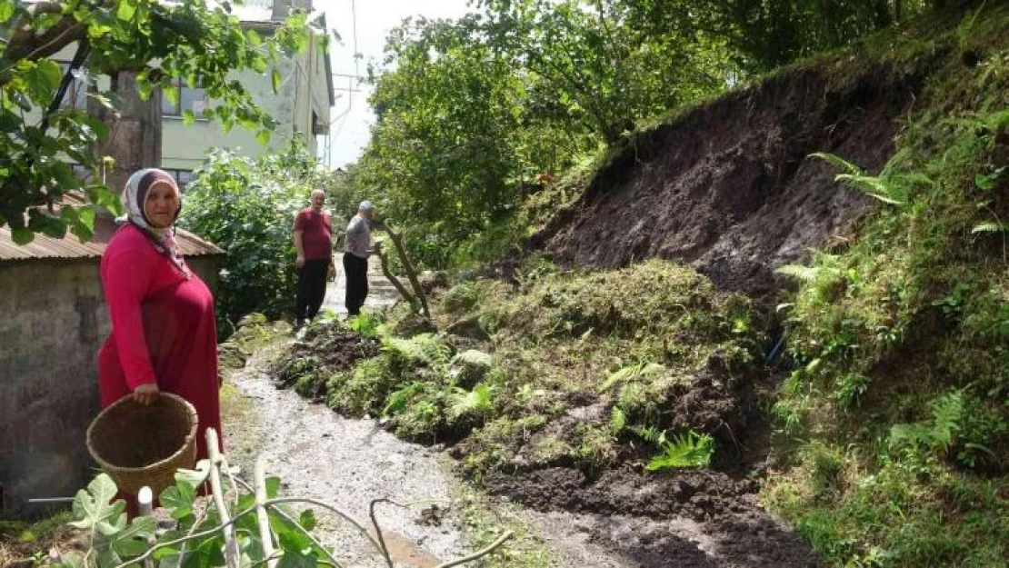 Giresun'da şiddetli yağış sonrası meydana gelen sel ve heyelanların yaraları sarılıyor