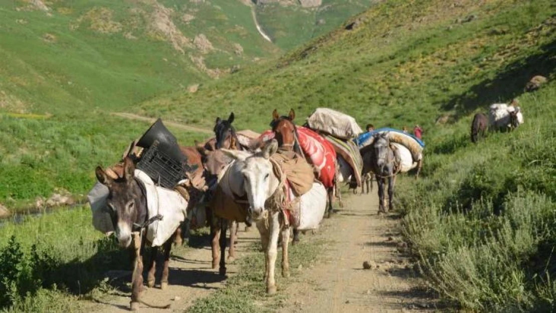 Göçerlerin zorlu yayla yolculuğu devam ediyor