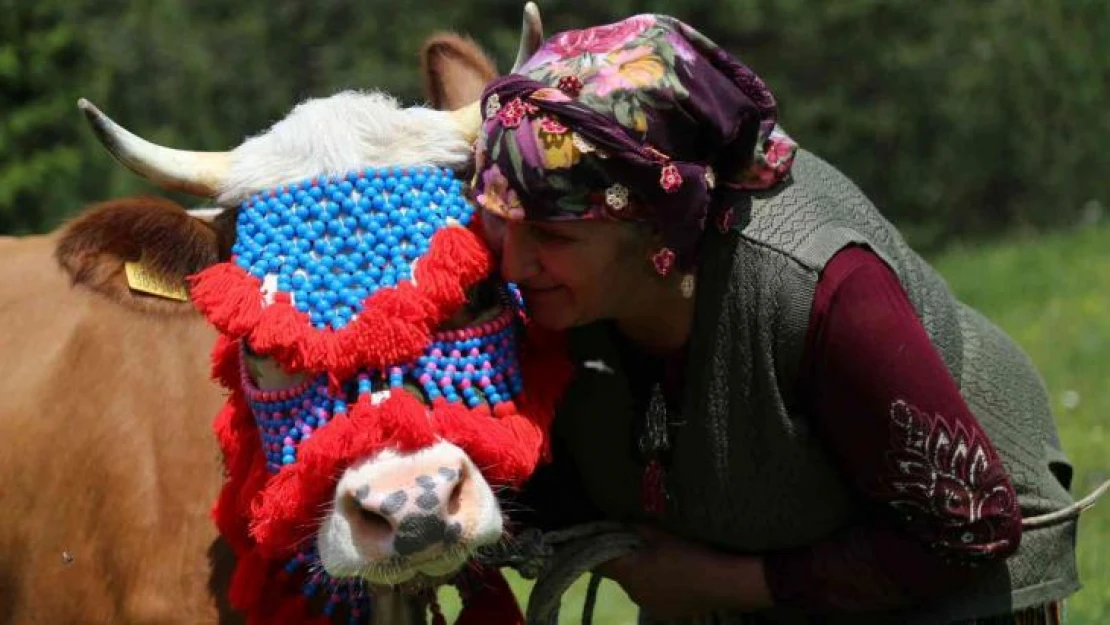 Gümüşhane'de yayla göçü başladı