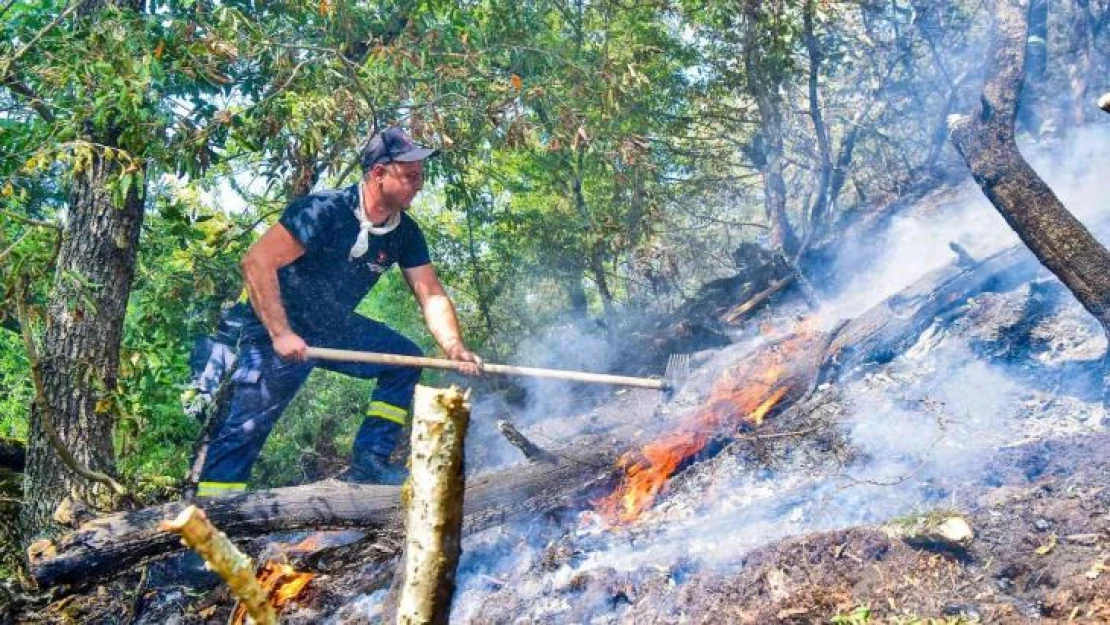 Gürcistan'da orman yangınları sürüyor