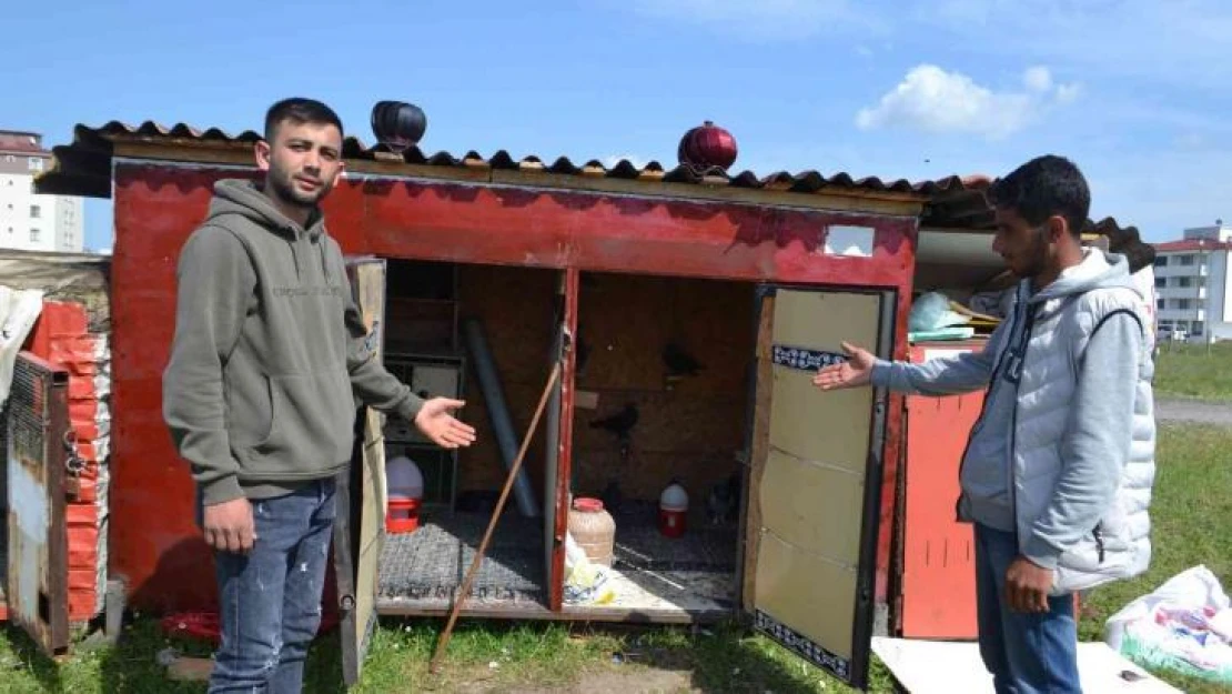 Güvercin sahibinden hırsızlara tepki: 'Azıcık vicdanın varsa o güvercinleri getirip bırak'