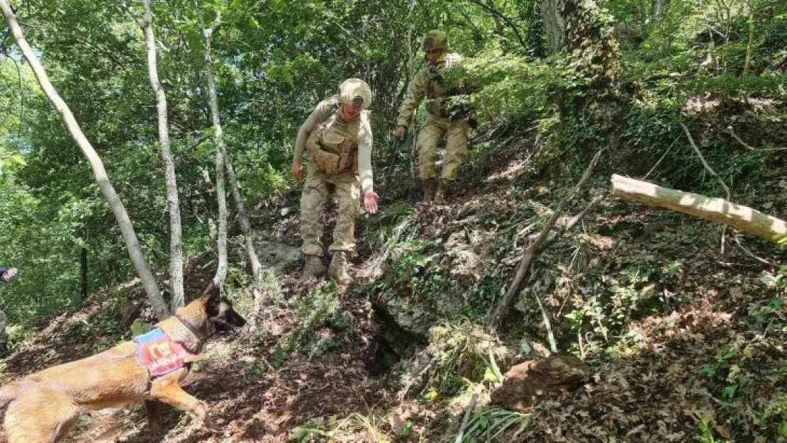 Hatay'da Amanoslar kırsalında tuzaklanmış patlayıcı imha edildi