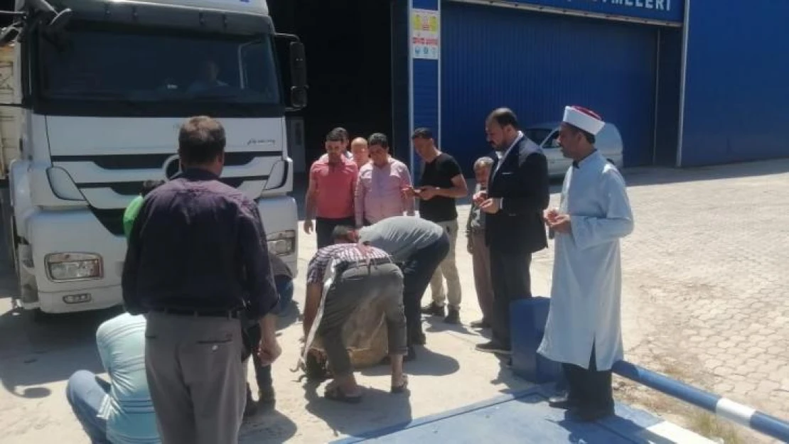 Hatay'da buğday hasadı dualarla başladı