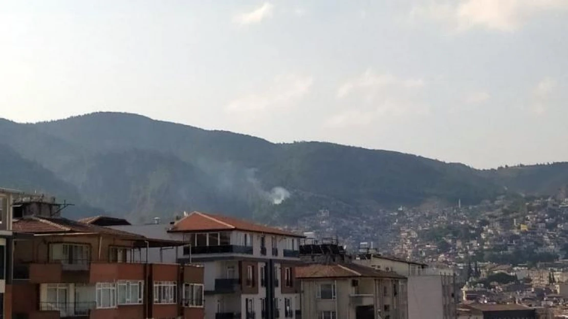 Hatay'da çıkan orman yangını kontrol altına alındı