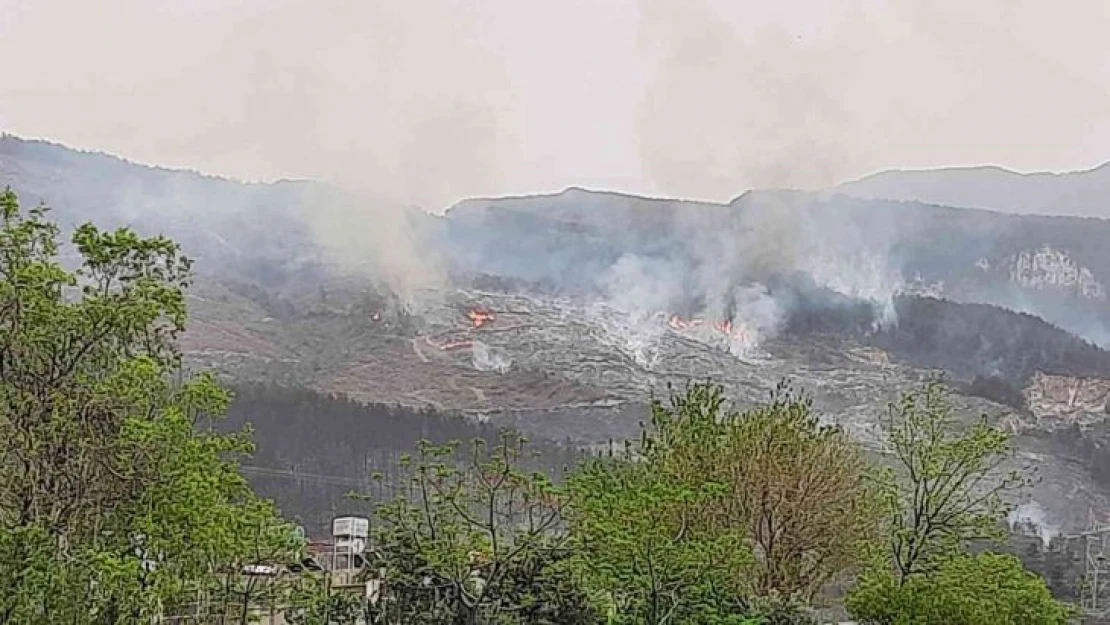 Hatay'da orman yangını iki noktada devam ediyor