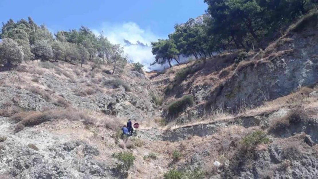 Hatay'da orman yangını