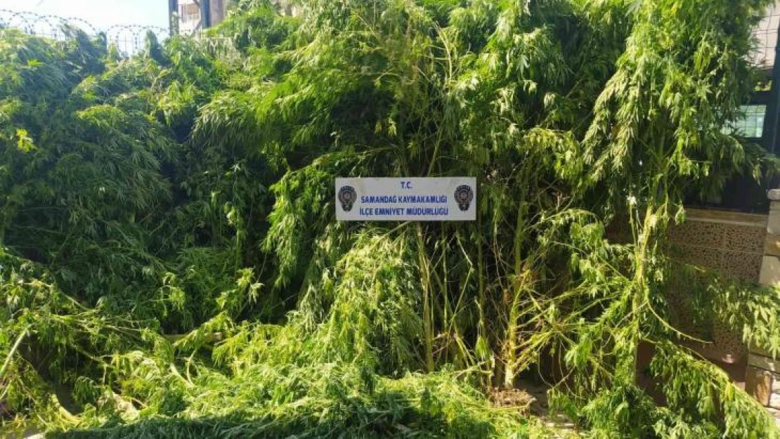 Hatay'da uyuşturucu operasyonları