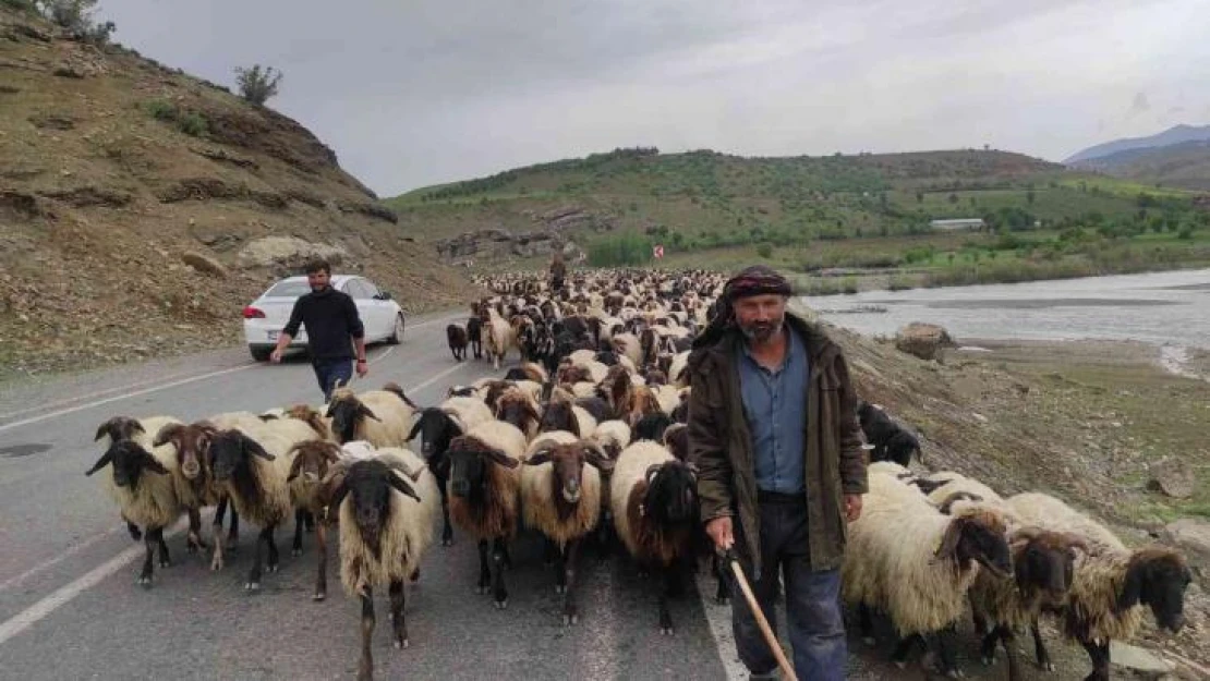 Havalar ısındı, göçerlerin zorlu yolculuğu başladı