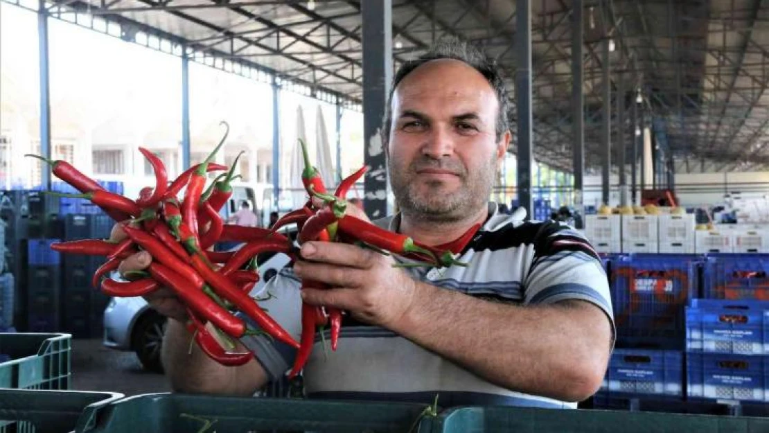 Havaların ısındığı Antalya halinde sebze fiyatları geçen haftalara göre yarı yarıya düştü