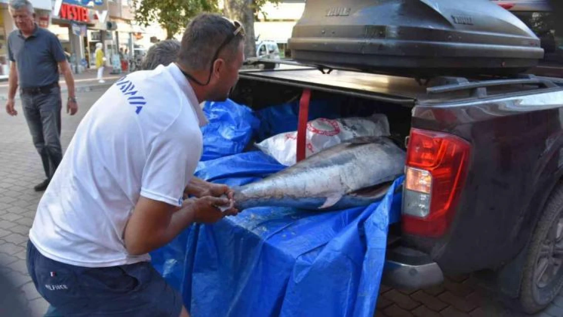 Hayali olan 100 kiloluk orkinosu Ege'de yakaladı