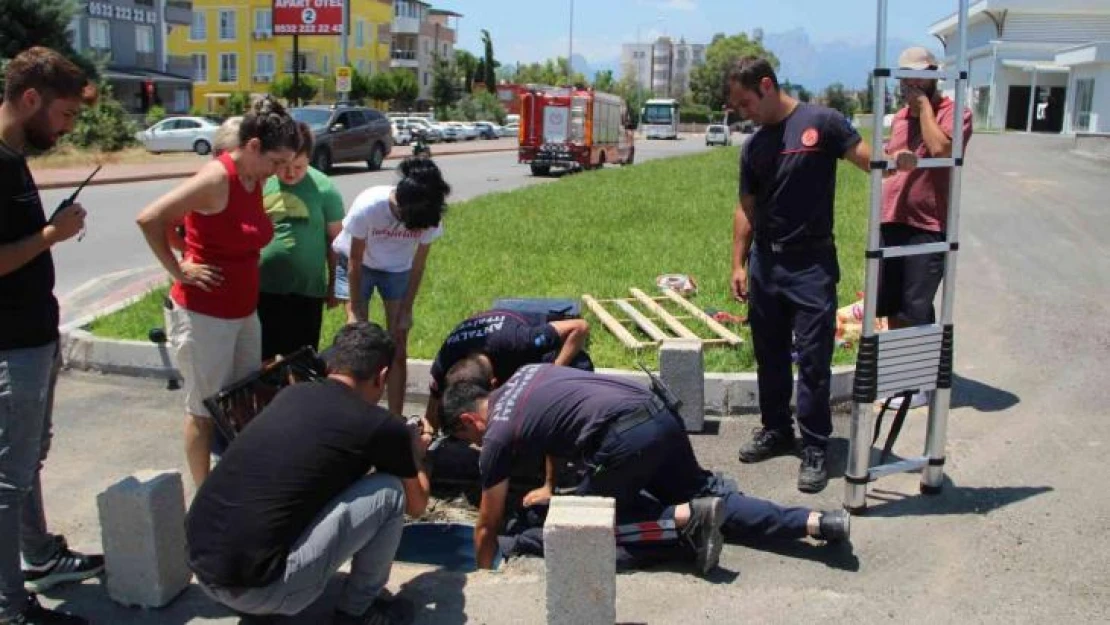 Hayanseverler ve itfaiyecilerden 40 derece sıcakta kedi kurtarma seferberliği