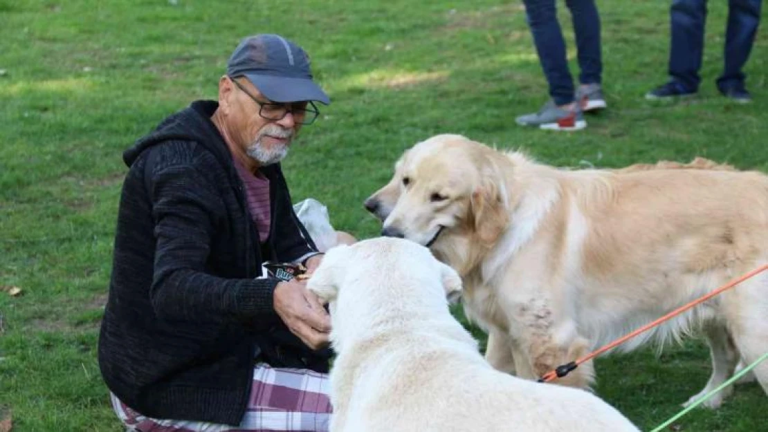 Hayvanlara şiddete karşı farkındalık oluşturmak için 'Pati Şenliği'nde buluştular