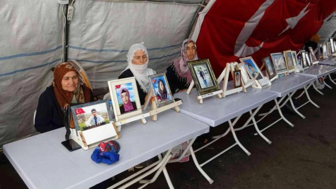 HDP'li belediyede staj yaptı, soluğu dağda aldı: Aile, partiye seslendi