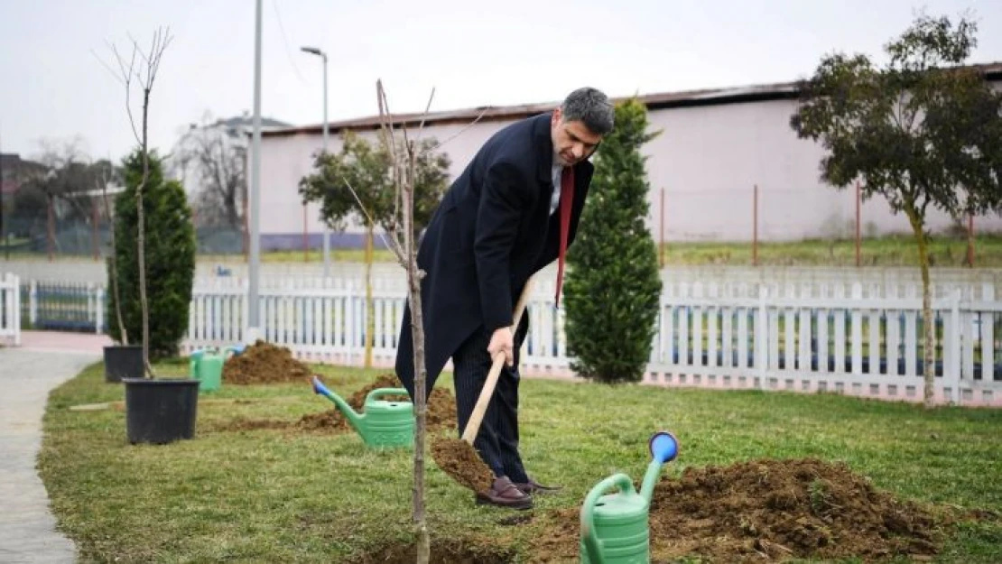 Herkes dalından yesin diye yüzlerce kiraz ve vişne ekildi