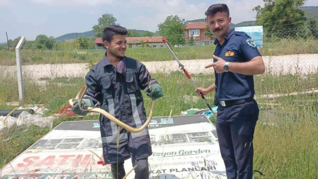 Hobi bahçesinde yakalanan 2 metrelik yılan doğaya salındı