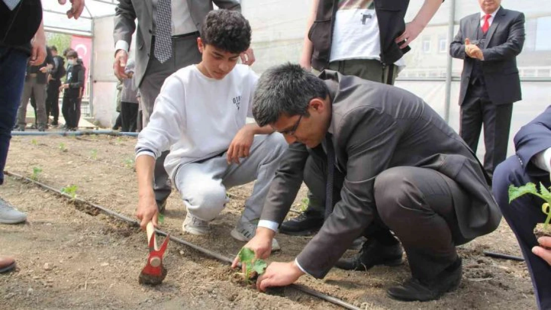 Hükümlüler sebze üretimi yaparak meslek edinecek