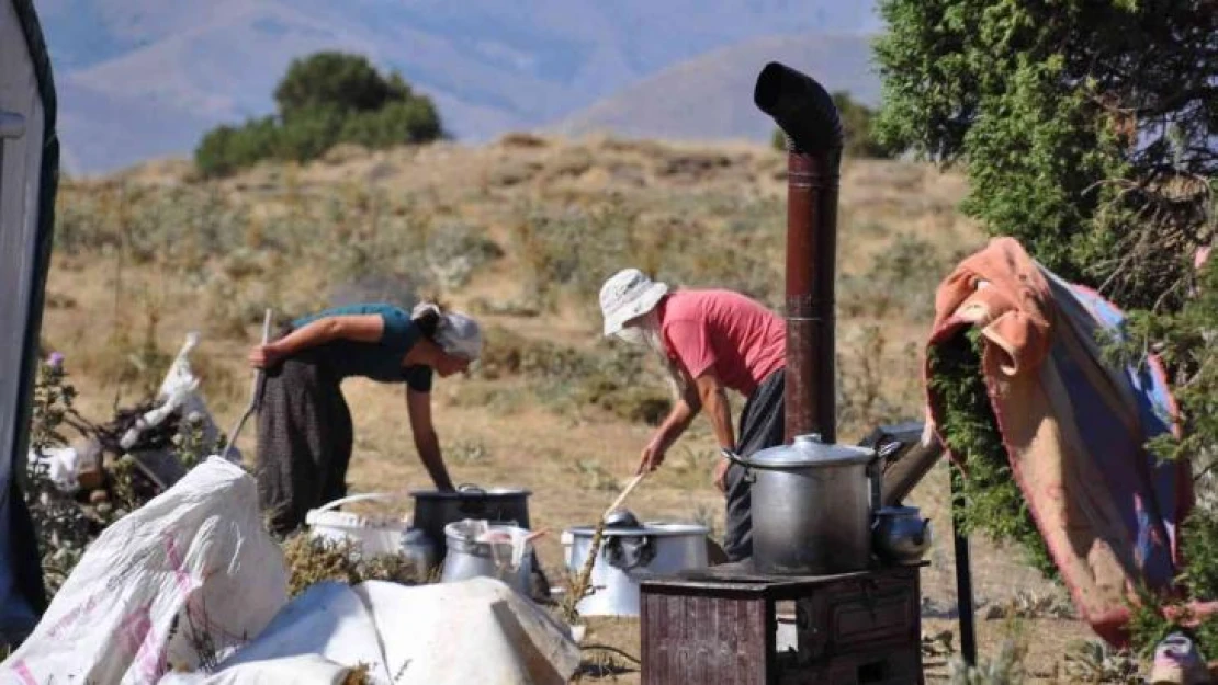 Huzur kenti Tunceli'de yaylacılar güven içerisinde dağlara çıkıp hayvancılık yapıyor