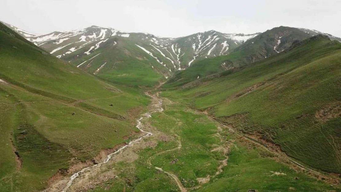 Iğdır'ın Zor Dağı'ndan mest eden görüntüler