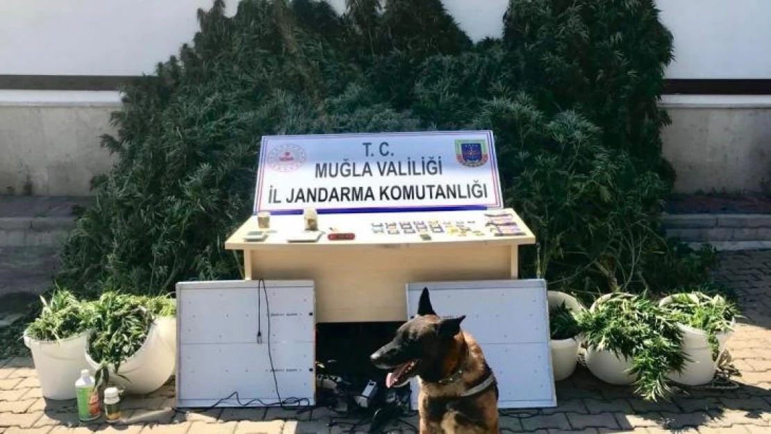 İkametlerinde uyuşturucu madde imal edip satan 2 şüpheli yakalandı