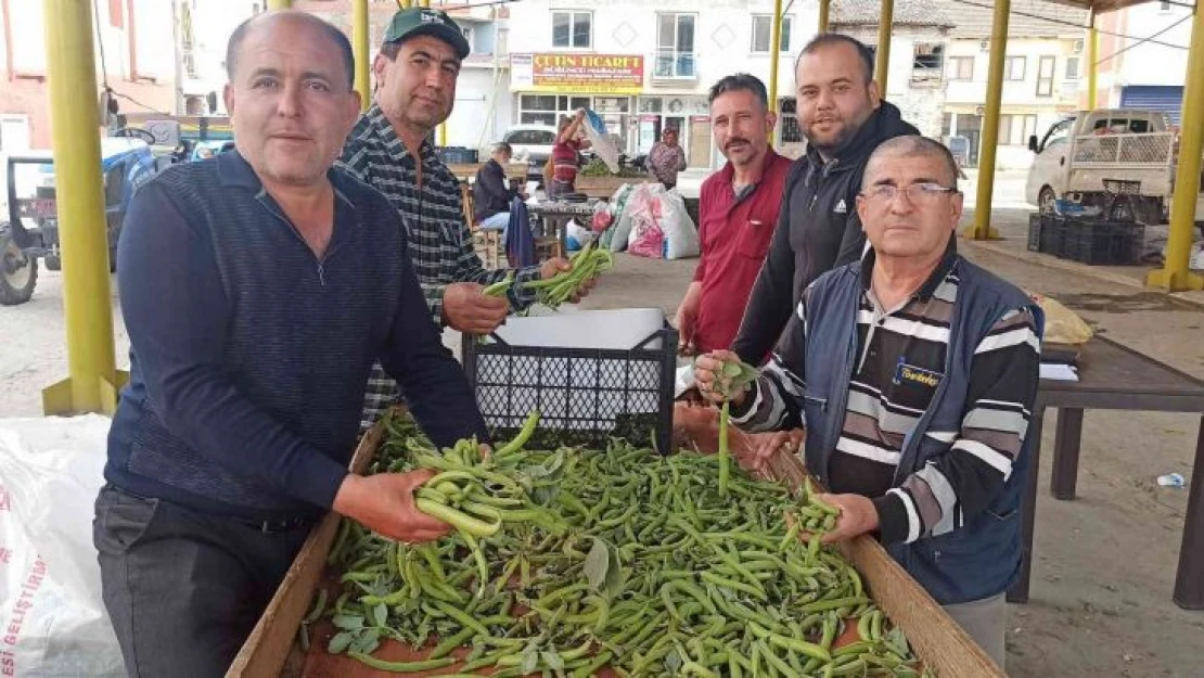 İlkbahar sebzesi baklada hasat zamanı