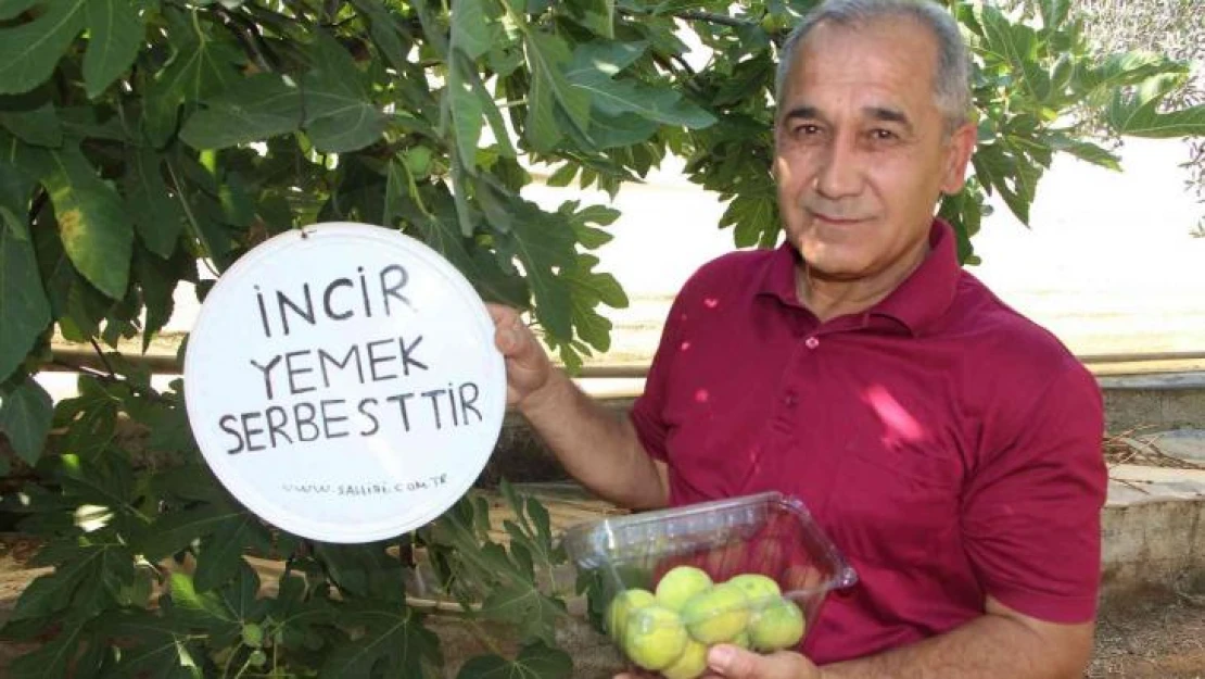 İncirlerini herkes yesin diye tabela astı, duasını şehitlere istedi