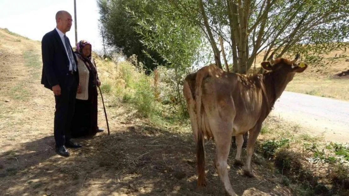 İneği için hüngür hüngür ağlayan anneye Ankara'dan sürpriz hediye