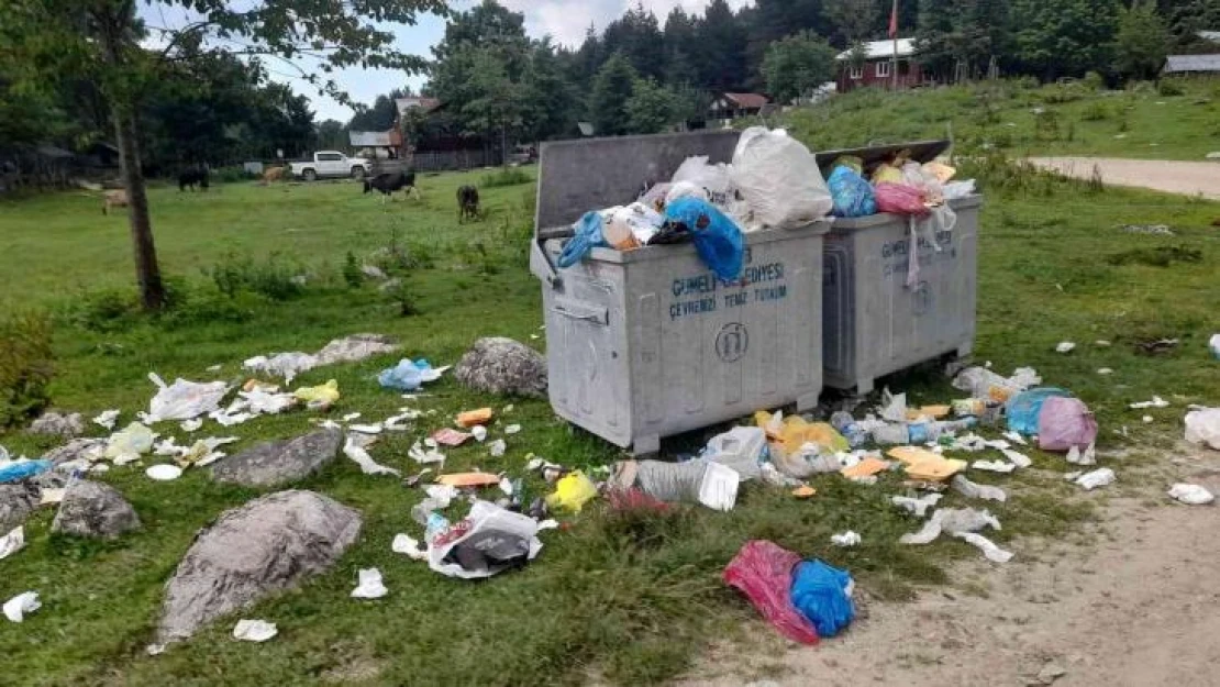 İnsanlar buraya gezmeye geliyorlar, doğaya elindeki çöpü bırakıp gidiyor