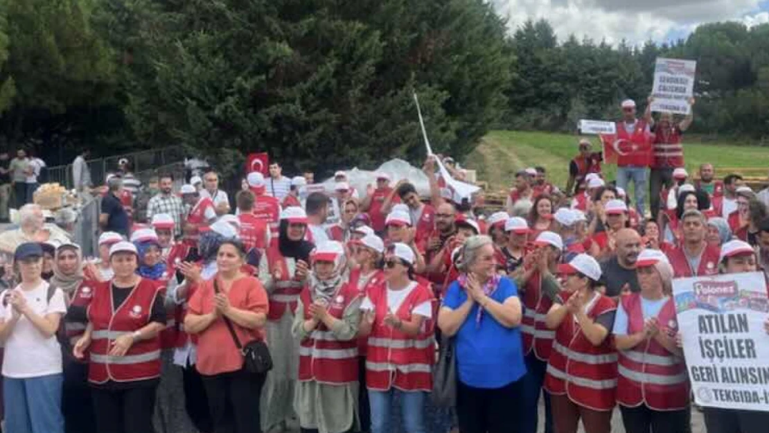 İşçiler meydanlarda: Polonez ve Fernas işçileri haklarını arıyor