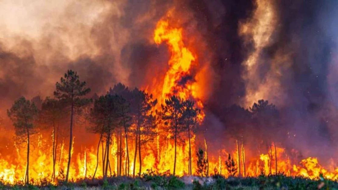 İspanya'da 30 farklı noktada yangınla mücadele sürüyor