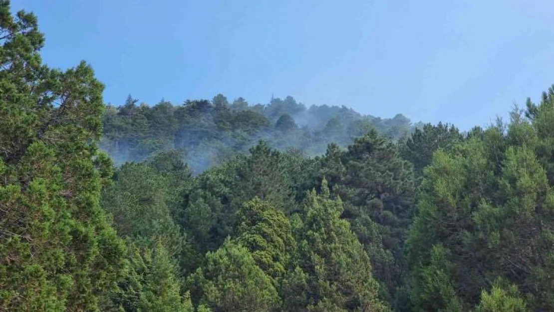 Isparta Senirkent'te çıkan orman yangını kontrol altına alındı