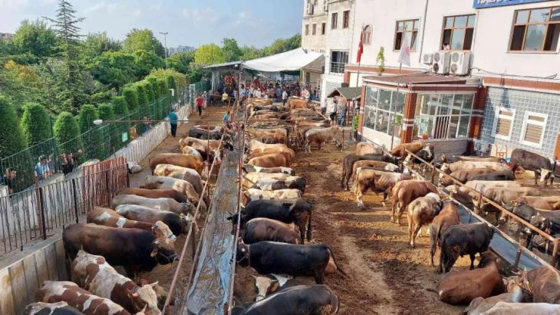 İstanbul'da kurban kesimleri başladı