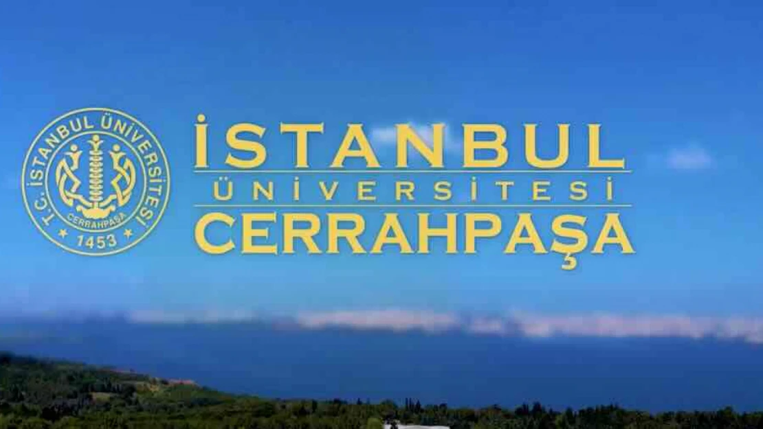 İstanbul Üniversitesi-Cerrahpaşa 3 sözleşmeli bilişim personeli alacak