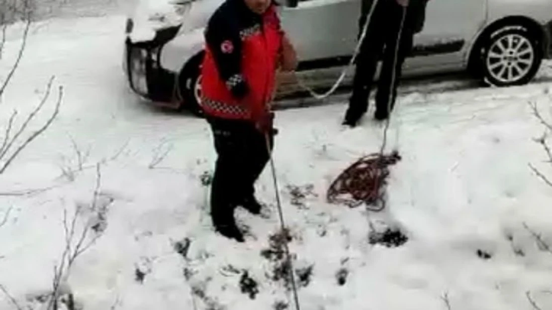 İtfaiye erleri derede mahsur kalan baykuş için seferber oldu