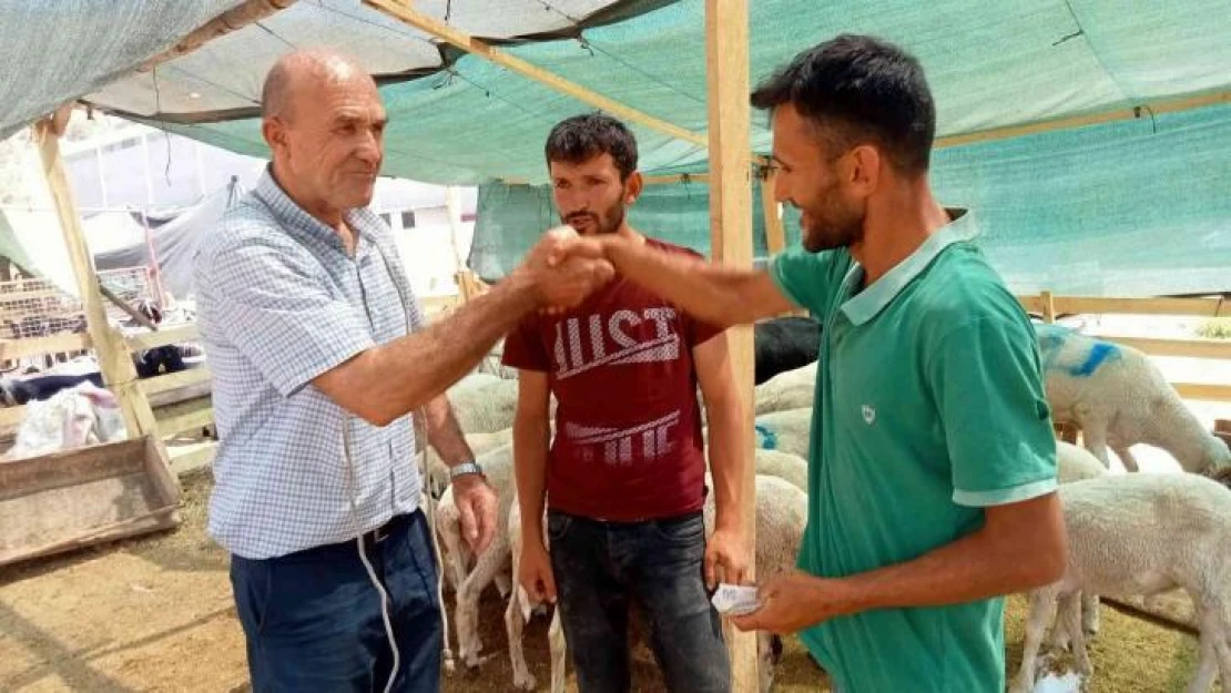 İzmir'de kurbanlık fiyatları bayram günü düştü