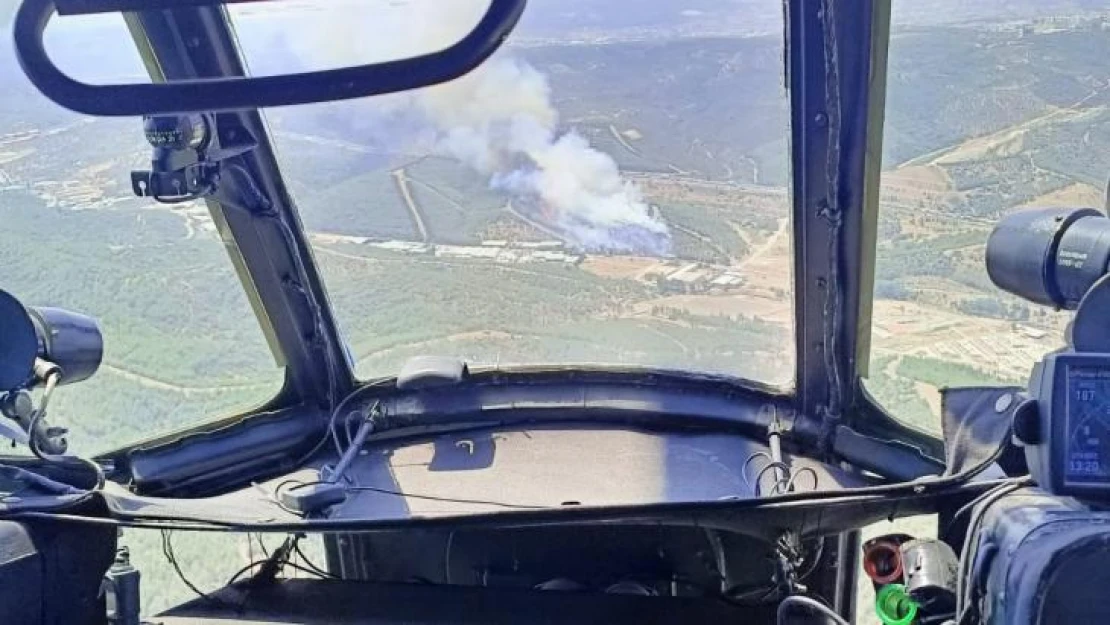 İzmir'de orman yangını