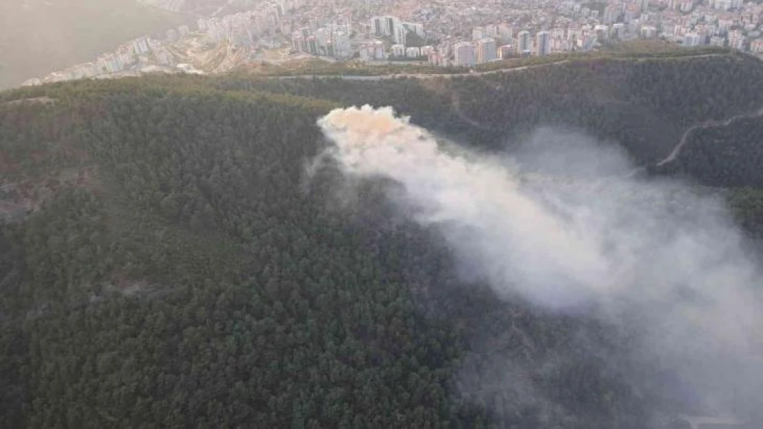 İzmir'de ormanlık alanda yangın